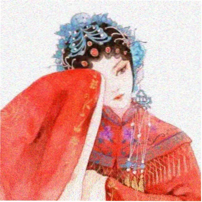 用户一只海豹头像